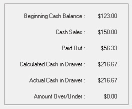The Beginning Cash Balance section.