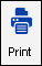 The Print button in the History summary toolbar. 