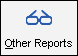 The Other Reports toolbar button in the Reporting toolbar.