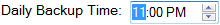 The Daily Backup Time field.