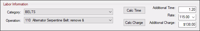 The Labor Information section on the Other Information tab.