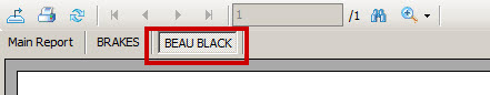 A technician button circled on the drilldown report toolbar.