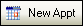 The New appointment button in the Scheduler toolbar.