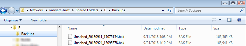 backup files in the backup copy folder in Windows Explorer.
