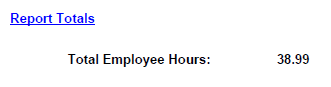 Report Totals on the last page of the Employee Time Sheet report.