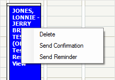 The right click menu over an appointment on the main window.