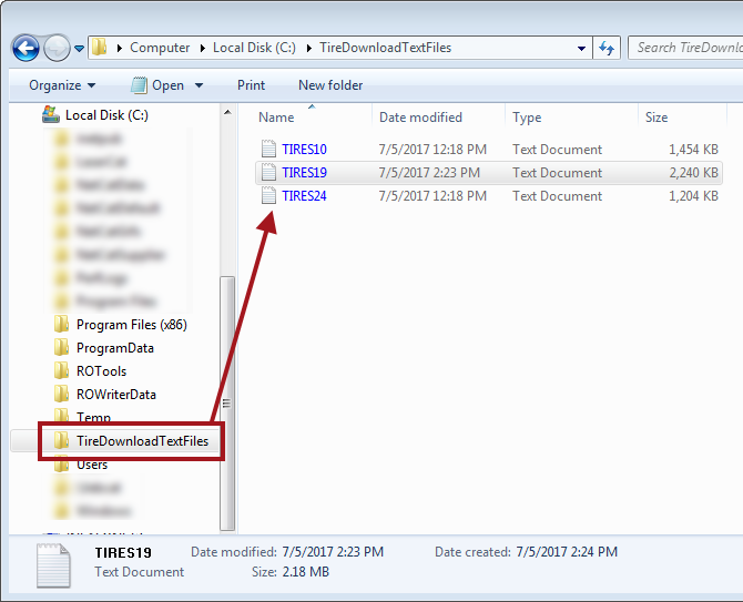 Windows explorer showing tire information download files in the folder.