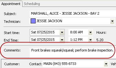 The content from the service box in the Comments field of the appointment window.