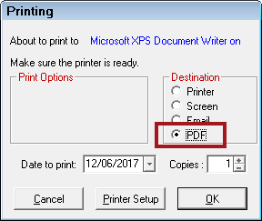 PDF options on the Printing window.