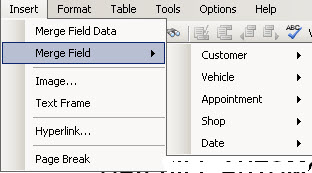 The Merge File side-menu on the Insert menu.